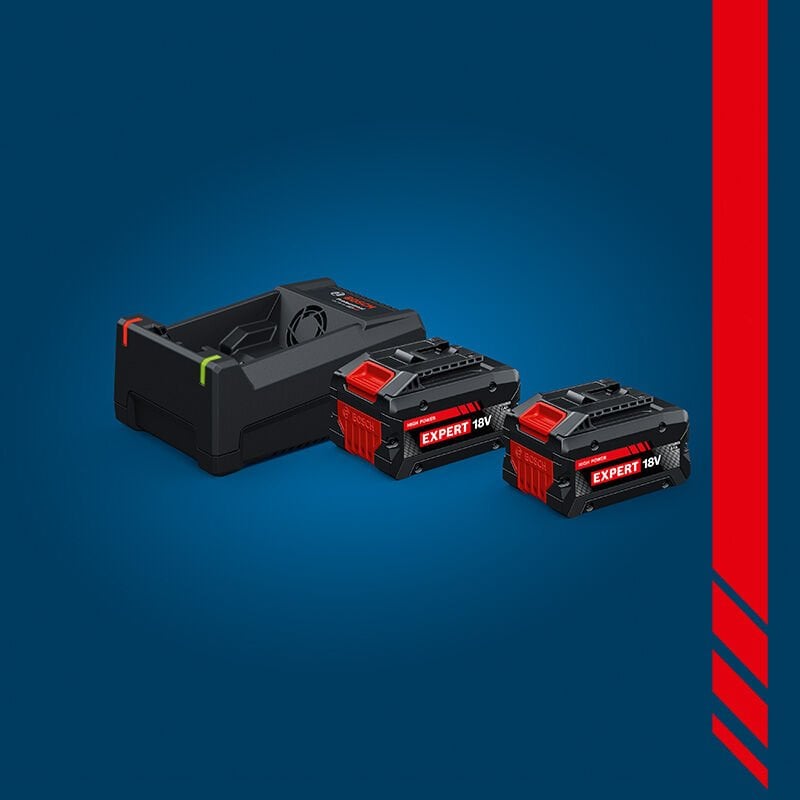 BOSCH EXPERT 18 Volt Starter Set GAL 12V/18V-80 18 V Expert Şarj Cihazı + 2 x EXBA 18 V 5.5 Ah Expert Akü 1 600 A03 73P